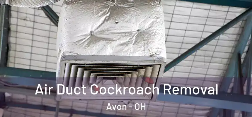 Air Duct Cockroach Removal Avon - OH