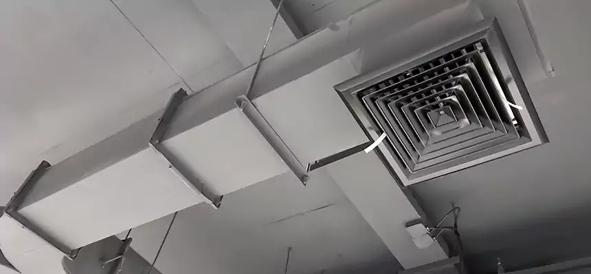 Restorative Allergy Relief Vent Cleaning – Coil, Blower & Housing Detail in Avon