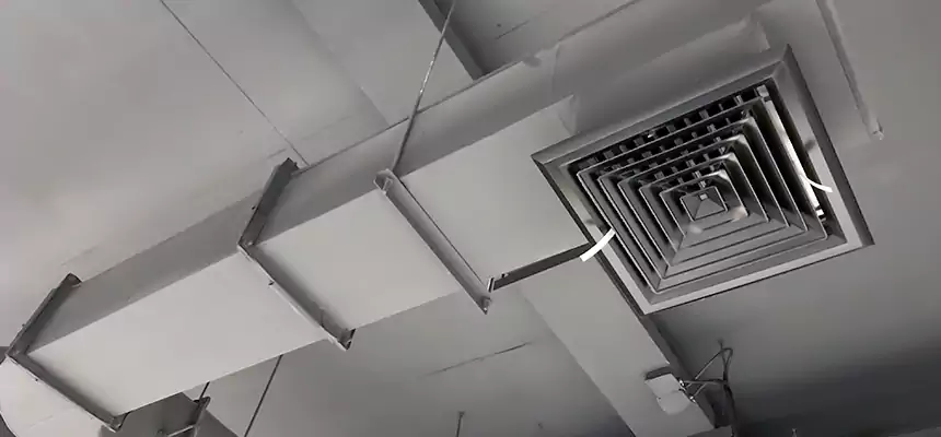 Our Pest Removal From Ducts Services in Avon, OH