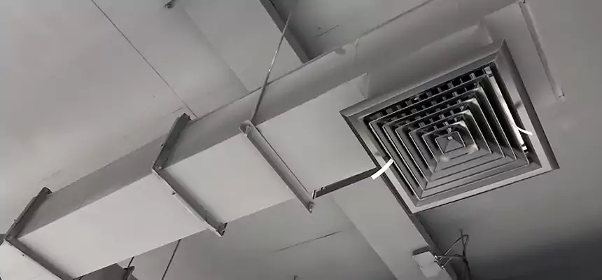 Our Rodent Droppings In Vents Services in Avon, OH