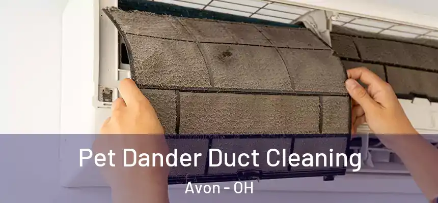 Pet Dander Duct Cleaning Avon - OH