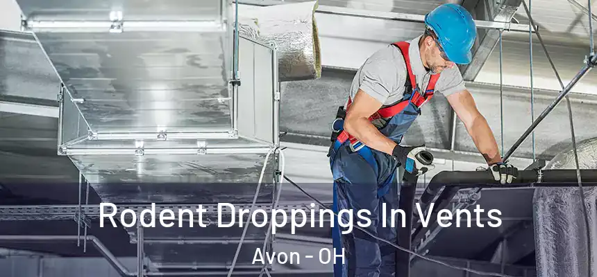  Rodent Droppings In Vents Avon - OH