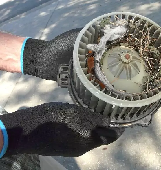 About Air Duct Mice Removal in Avon, OH